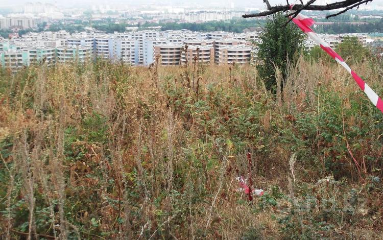 Участок · 2 га, АКЖ Чапаева за 50 млн ₸ в Алматы, Наурызбайский р-н — фото 2
