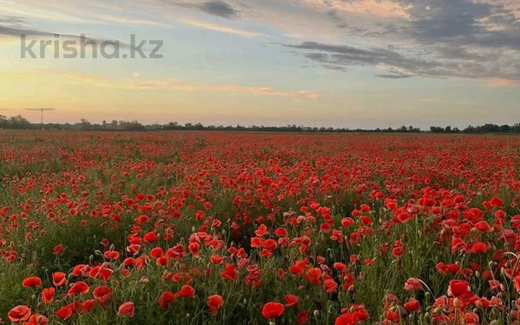 Участок · 16 га, Алматы за 150 млн ₸ — фото 2