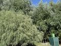 Жеке үй · 4 бөлме · 60 м² · 9 сот., Хутор 5, 6 — Находится близ Жаркента, около реки Усек, на старой утиной ферме, если точнее то Чулакайский сельский округ, бағасы: 7.8 млн ₸ — фото 2