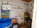 Жеке үй · 4 бөлме · 152.6 м² · 5 жүзд., Юго восток 54, бағасы: 58 млн ₸ в Мичуринское — фото 6
