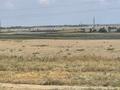 Отдельный дом · 5 комнат · 248 м² · 12 сот., Переулок-4 248А за 33.9 млн ₸ в Алатау — фото 11