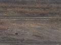 Жер телімі 70 сотық, Боралдай (Бурундай), бағасы: 70 млн 〒 — фото 11