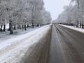 Участок · 50 соток, Вдоль трассы Каргалы -Ынтымак — Карасу за 15 млн ₸ в Каргалы (п. Фабричный) — фото 3