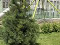 3-бөлмелі пәтер · 73 м² · 9/12 қабат, Розыбакиева 343 — Ескараева, бағасы: 118 млн ₸ в Алматы, Бостандыкский р-н — фото 36