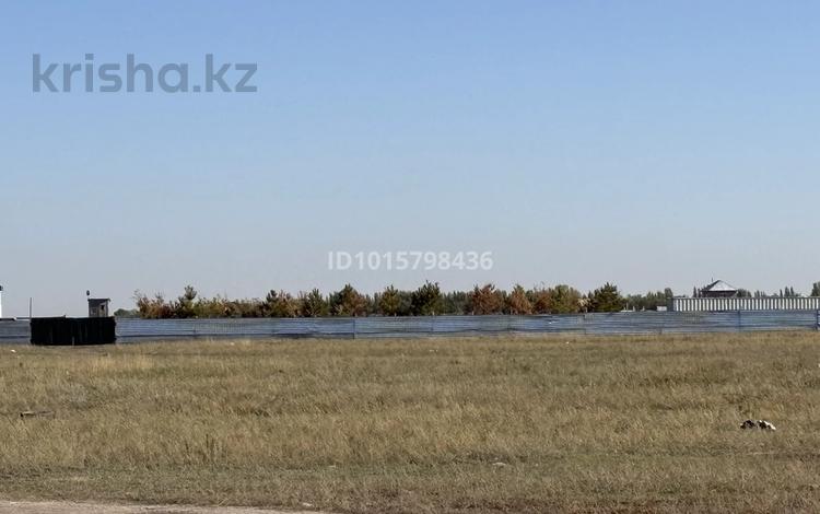 Участок · 2.5 га, Үч. кв. 015 150/10 — Мустафа Шокай за 50 млн ₸ в Караоткеле — фото 2