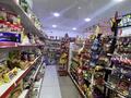 Действующий магазин · 50 м² за 4 млн ₸ в Астане, Алматы р-н — фото 2