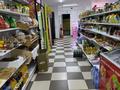 Продуктовый магазин · 100 м² за 3 млн ₸ в Астане, Сарыарка р-н
