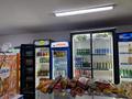 Продуктовый магазин · 100 м² за 3 млн ₸ в Астане, Сарыарка р-н — фото 2