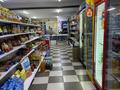 Продуктовый магазин · 100 м² за 3 млн ₸ в Астане, Сарыарка р-н — фото 3