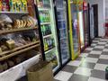 Продуктовый магазин · 100 м² за 3 млн ₸ в Астане, Сарыарка р-н — фото 7