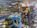 Продуктовый магазин · 100 м² за 3 млн ₸ в Астане, Сарыарка р-н — фото 8