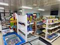 Действующий продуктовый магазин · 65 м² за 8 млн ₸ в Астане, Нура р-н — фото 3