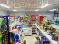 Действующий продуктовый магазин · 65 м² за 8 млн ₸ в Астане, Нура р-н — фото 4
