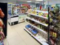 Действующий продуктовый магазин · 65 м² за 8 млн ₸ в Астане, Нура р-н — фото 5