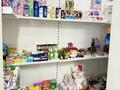 Действующий продуктовый магазин · 65 м² за 8 млн ₸ в Астане, Нура р-н — фото 7