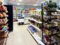 Действующий продуктовый магазин · 65 м² за 8 млн ₸ в Астане, Нура р-н — фото 8