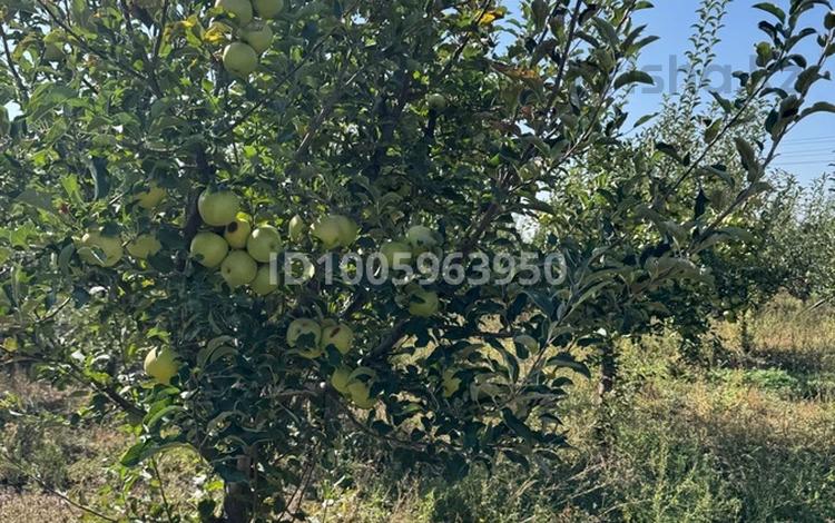 Участок · 10 га, Каракестек за 180 млн 〒 в Каракастеке — фото 2