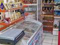 Магазины и бутики · 59 м² за 38 млн ₸ в Кокшетау — фото 6