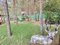 Отдельный дом · 5 комнат · 200 м² · 20 сот., Сарыкольская трасса за 80 млн ₸ в Затобольске (Тобыле) — фото 79