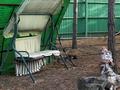 Отдельный дом · 5 комнат · 200 м² · 20 сот., Сарыкольская трасса за 80 млн ₸ в Затобольске (Тобыле) — фото 70