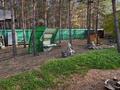 Отдельный дом · 5 комнат · 200 м² · 20 сот., Сарыкольская трасса за 80 млн ₸ в Затобольске (Тобыле) — фото 74