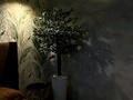 1-комнатная квартира · 30 м² · 7/9 этаж, Кривенко 81 за 18 000 ₸ в Павлодаре — фото 7