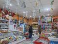 Магазины и бутики, салоны красоты • 188.8 м² за 65 млн 〒 в Темиртау — фото 2