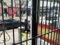 Магазины и бутики · 69 м² за 52 млн ₸ в Конаеве — фото 11