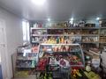 Свободное назначение · 269 м² за 80 млн ₸ в Щучинске — фото 35