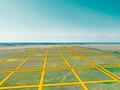 Жер телімі · 5 га, Центральная 1 — Индустриальная зона, бағасы: 375 млн ₸ в Жалкамысе — фото 3