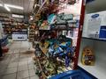 Магазины и бутики · 280 м² за 250 млн ₸ в Алматы, Турксибский р-н — фото 3