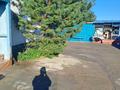 Отдельный дом · 3 комнаты · 80 м² · 10 сот., Звездная 347 за 20 млн ₸ в Усть-Каменогорске, Ахмирово — фото 9