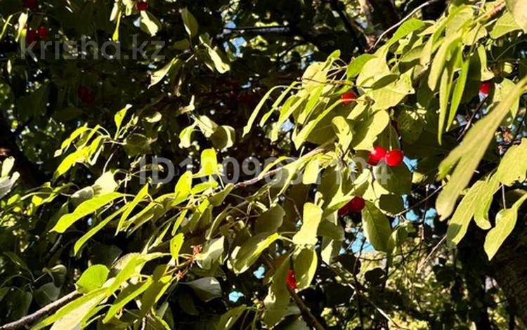 Жеке үй · 3 бөлме · 85 м² · 8 жүзд., Азат ш/а, Аркайым 10, бағасы: 27 млн ₸ в Шымкенте, Енбекшинский р-н — фото 30
