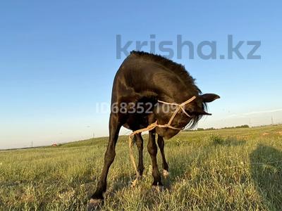 Участок · 10 соток, Темирлановка за 3.3 млн 〒