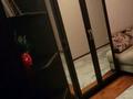 3-комнатная квартира · 58 м² · 3/4 этаж, 3-й микрорайон 30 — Burger boss за 220 000 ₸ в Шымкенте, Туран р-н — фото 4