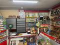Магазины и бутики · 63.6 м² за 32 млн ₸ в Семее — фото 5