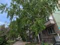 2-бөлмелі пәтер · 51.5 м² · 5/5 қабат, Кабанбай батыра 82 — Новаторов, бағасы: 21.9 млн ₸ в Усть-Каменогорске — фото 31
