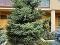 2-бөлмелі пәтер · 105 м² · 1/3 қабат, Сазда-2 , Санкибай батыра 253/4 — Газиза Жубанова, бағасы: 58.8 млн ₸ в Актобе — фото 14