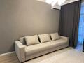 1-комнатная квартира · 40 м² · 3/9 этаж, Улы Дала 31 за 240 000 ₸ в Астане, Нура р-н — фото 17