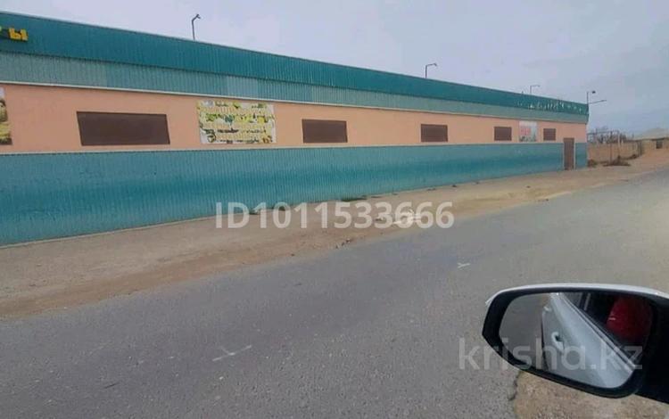 Свободное назначение · 500 м² за 300 000 ₸ в Баскудуке — фото 2