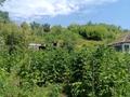 Отдельный дом · 3 комнаты · 50 м² · 12 сот., Кунаева 333 за 9 млн ₸ в Текели — фото 7
