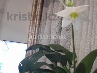 Жеке үй · 3 бөлме · 50 м² · 10 сот., Первомайская 60, бағасы: 3.5 млн ₸ в Серебрянске