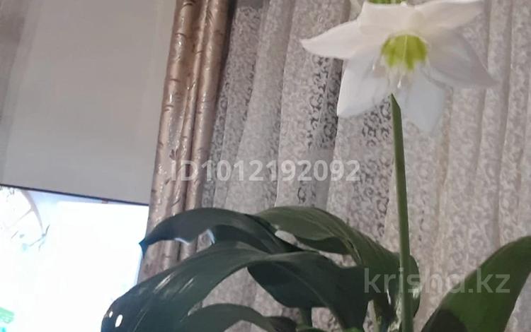 Жеке үй · 3 бөлме · 50 м² · 10 сот., Первомайская 60, бағасы: 3.5 млн ₸ в Серебрянске — фото 2