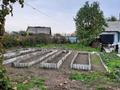 Дача · 1 комната · 10 м² · 6 сот., Бобровка — Магазин тополек за 3.2 млн ₸ в Семее — фото 17