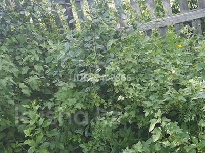 Дача · 1 комната · 10 м² · 6 сот., Бобровка — Магазин тополек за 3.2 млн 〒 в Семее