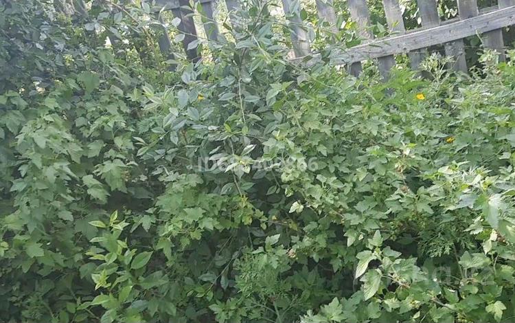 Дача · 1 комната · 10 м² · 6 сот., Бобровка — Магазин тополек за 3.2 млн ₸ в Семее — фото 4