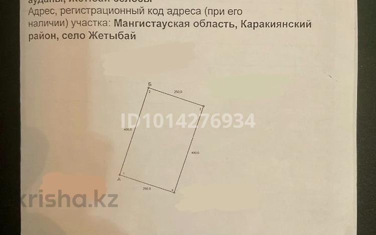 Участок · 10 га, Жетыбай за 5 млн ₸ — фото 5