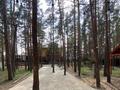 Жеке үй · 9 бөлме · 550 м², Зеленая 12 В — Санаторий Щучинский, бағасы: 300 000 ₸ в Бурабае — фото 2