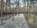 Жеке үй · 9 бөлме · 550 м², Зеленая 12 В — Санаторий Щучинский, бағасы: 300 000 ₸ в Бурабае — фото 7