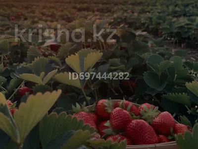 Участок · 1.3 га, Вдоль трассы в строну с.Алмалы — Алмалы 3км за 12 млн 〒 в Есик